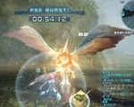 PSO_001.jpg