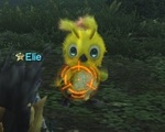 PSO_002.jpg